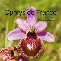 Marianne Fabre Aquarelliste spécialisée dans les Ophrys et Orchis
